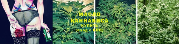 индика Магадан