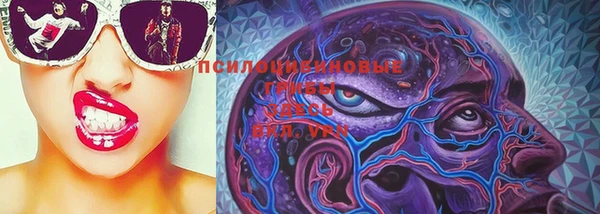 индика Магадан