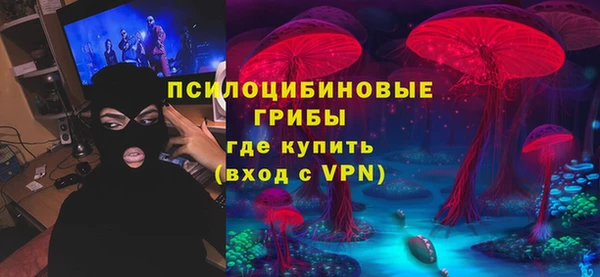 индика Магадан